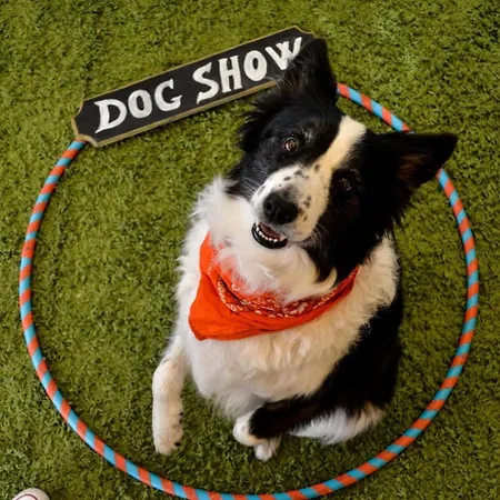 Solone リゾート アシェーア