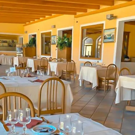 Solone * アシェーア